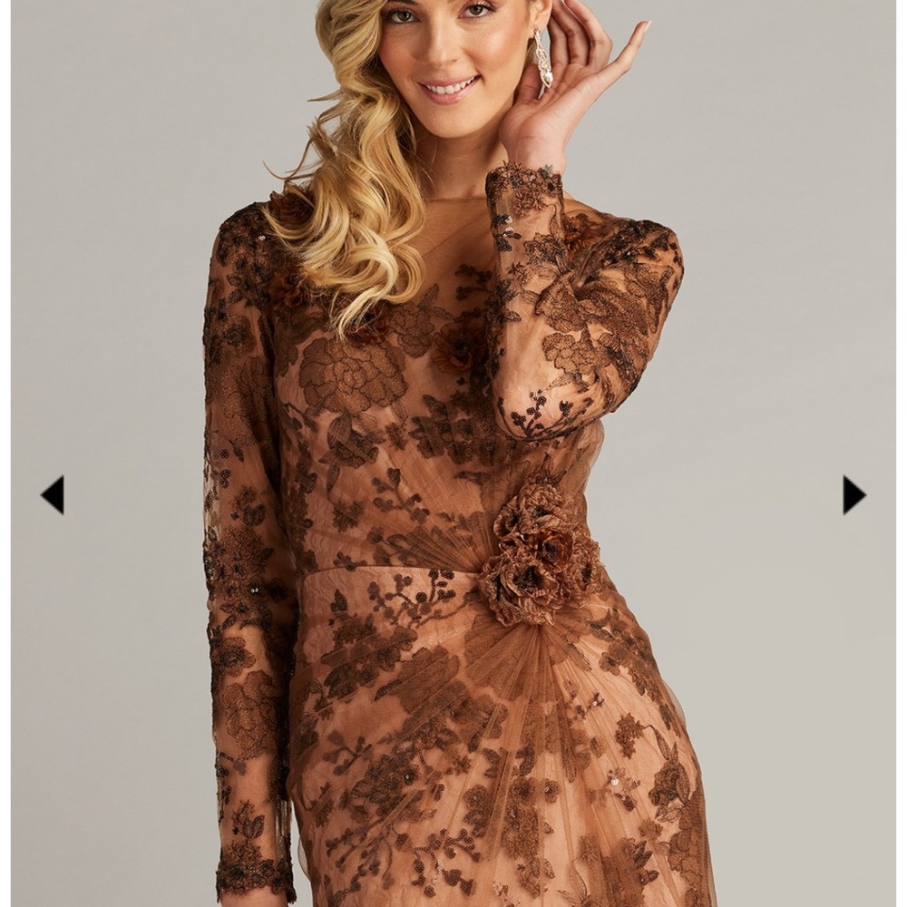 Tadashi Shoji Sylvia Embroidered Illusion Gown